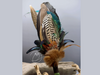 Räucherfächer - Pfau