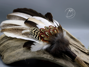 Räucherfeder - Pfau