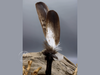 Räucherfächer Adler